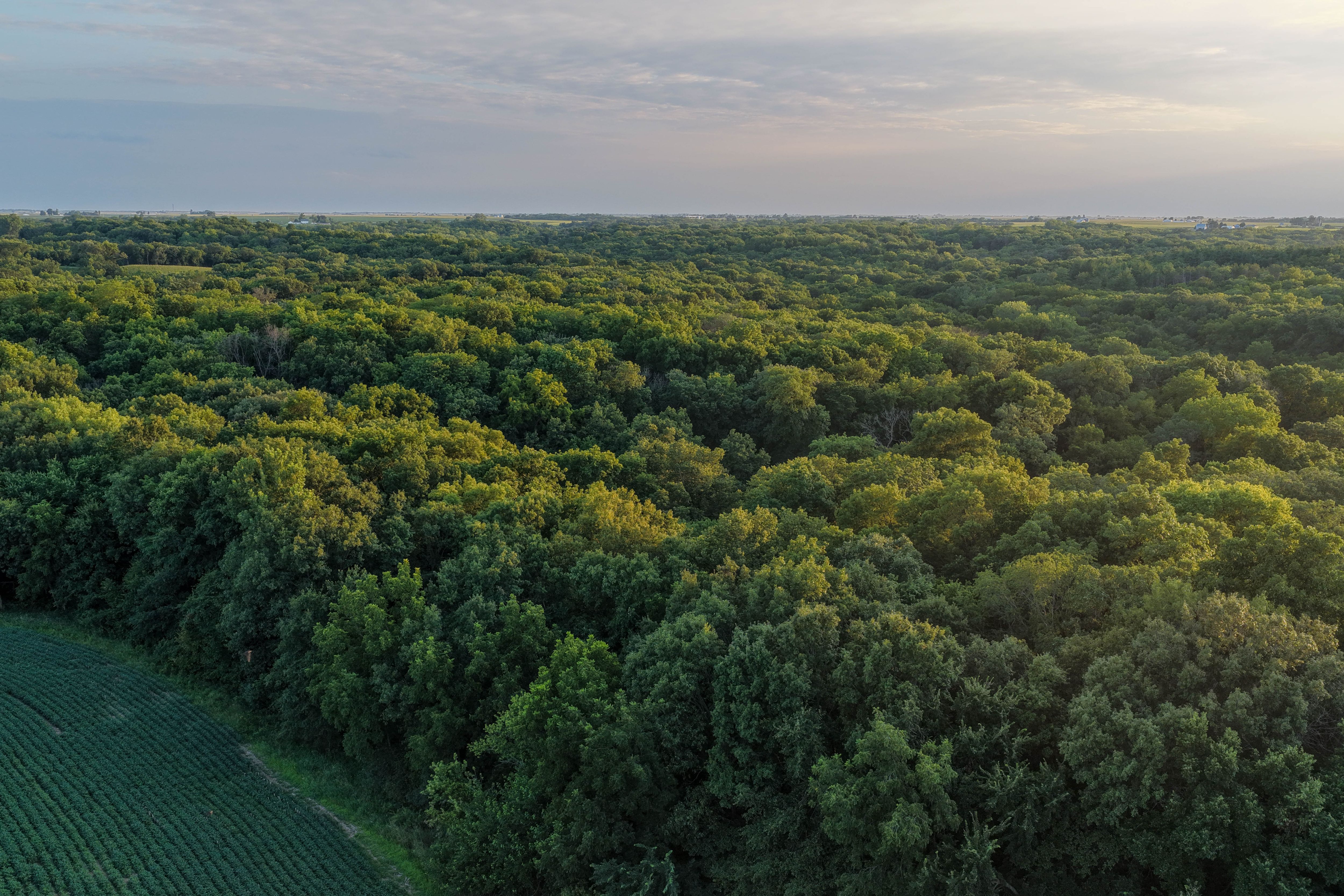 Listing Photo: Whitetail Hunting Farm Mahaska County Iowa-75
